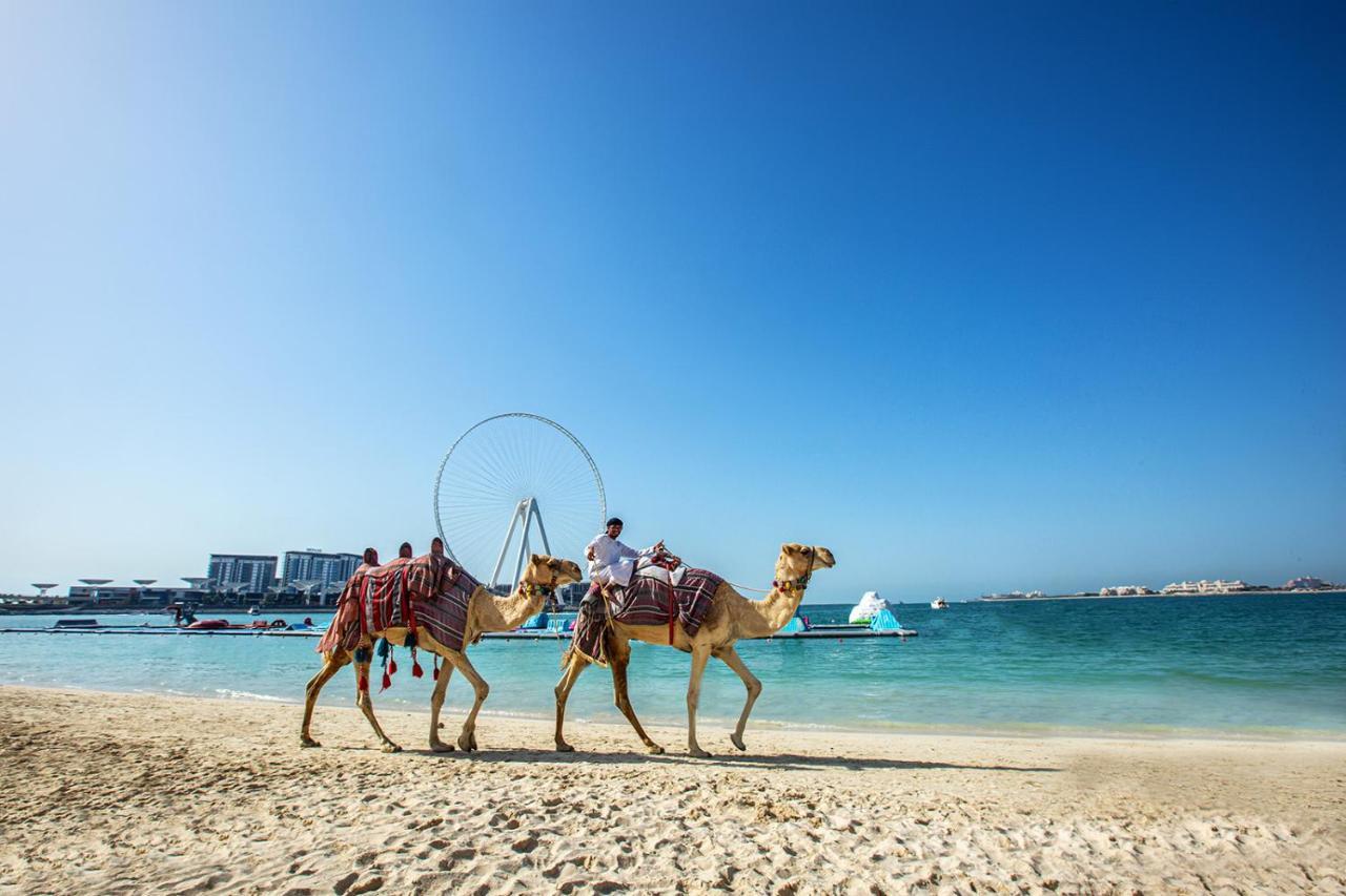 Wonderful Apartment Near The Beach Sadaf Jbr ドバイ エクステリア 写真